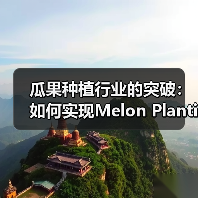 瓜果种植行业的突破:如何实现Melon Planting的口感差异化(图2) 瓜果种植行业的突破:如何实现Melon Planting的口感差异化(图2)