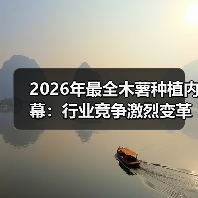 2026年最全木薯种植内幕:行业竞争激烈变革下的差异化策略(图4) 2026年最全木薯种植内幕:行业竞争激烈变革下的差异化策略(图4)
