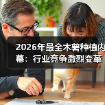 2026年最全木薯种植内幕:行业竞争激烈变革下的差异化策略(图1) 2026年最全木薯种植内幕:行业竞争激烈变革下的差异化策略(图1)