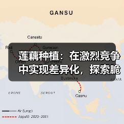 莲藕种植：在激烈竞争中实现差异化，探索脆度提升之道（图2）