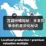 莲藕种植揭秘：未来竞争中的差异化秘诀（图2）