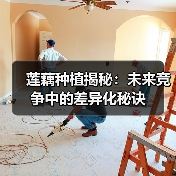 莲藕种植揭秘：未来竞争中的差异化秘诀（图3）