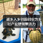 返乡入乡创新创业为乡村产业增强新活力(图4) 返乡入乡创新创业为乡村产业增强新活力(图4)