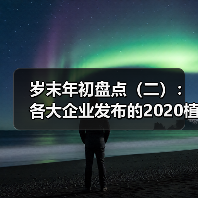 岁末年初盘点（二）：各大企业发布的2020植保无人机新品（图1）