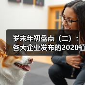 岁末年初盘点（二）：各大企业发布的2020植保无人机新品（图2）