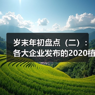 岁末年初盘点（二）：各大企业发布的2020植保无人机新品（图4）