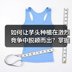 如何让芋头种植在激烈竞争中脱颖而出？掌握品相差异化的秘密策略（图2）
