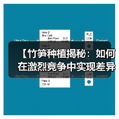 【竹笋种植揭秘:如何在激烈竞争中实现差异化突破】(图3) 【竹笋种植揭秘:如何在激烈竞争中实现差异化突破】(图3)
