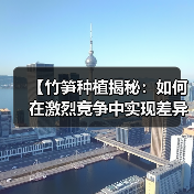 【竹笋种植揭秘:如何在激烈竞争中实现差异化突破】(图4) 【竹笋种植揭秘:如何在激烈竞争中实现差异化突破】(图4)