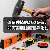 莲藕种植的激烈竞争：如何实现脆度差异化创新（图4）