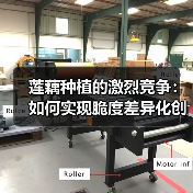 莲藕种植的激烈竞争：如何实现脆度差异化创新（图2）