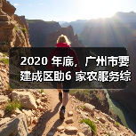 2020 年底,广州市要建成区助6 家农服务综合平台(图2) 2020 年底,广州市要建成区助6 家农服务综合平台(图2)