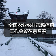 全国农业农村市场信息工作会议在京召开(图2) 全国农业农村市场信息工作会议在京召开(图2)