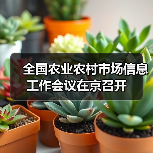 全国农业农村市场信息工作会议在京召开(图1) 全国农业农村市场信息工作会议在京召开(图1)