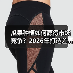 瓜果种植如何赢得市场竞争？2026年打造差异化口感的秘诀揭秘（图1）