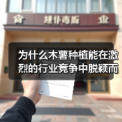 为什么木薯种植能在激烈的行业竞争中脱颖而出？这不仅仅是一个传统农业的故事，更是一场关于差异化战略和行业思维的革命。一个曾经在非洲默默耕作、如今逐渐崭露头角的木薯（图1）