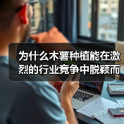 为什么木薯种植能在激烈的行业竞争中脱颖而出？这不仅仅是一个传统农业的故事，更是一场关于差异化战略和行业思维的革命。一个曾经在非洲默默耕作、如今逐渐崭露头角的木薯（图2）