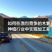 如何在激烈竞争的木薯种植行业中实现加工差异化（图2）