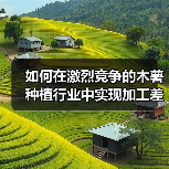 如何在激烈竞争的木薯种植行业中实现加工差异化（图1）