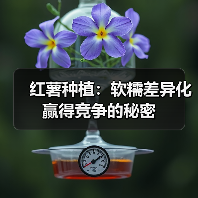 红薯种植：软糯差异化赢得竞争的秘密（图2）