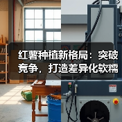 红薯种植新格局：突破竞争，打造差异化软糯体验（图2）