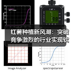 红薯种植新风潮：突破竞争激烈的行业实现软糯差异化（图1）