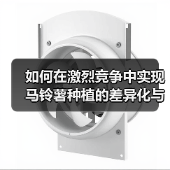 如何在激烈竞争中实现马铃薯种植的差异化与发展（图4）