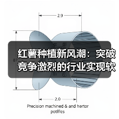 红薯种植新风潮：突破竞争激烈的行业实现软糯差异化（图3）