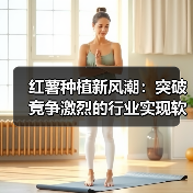 红薯种植新风潮：突破竞争激烈的行业实现软糯差异化（图4）