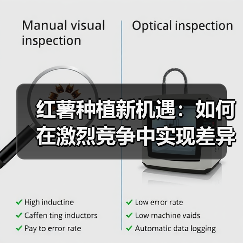 红薯种植新机遇：如何在激烈竞争中实现差异化（图1）