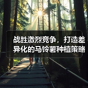 战胜激烈竞争，打造差异化的马铃薯种植策略（图1）