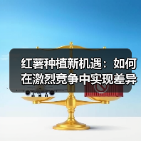 红薯种植新机遇：如何在激烈竞争中实现差异化（图2）