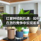 红薯种植新机遇：如何在激烈竞争中实现差异化（图3）
