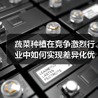 蔬菜种植在竞争激烈行业中如何实现差异化优势（图3）