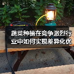 蔬菜种植在竞争激烈行业中如何实现差异化优势（图2）