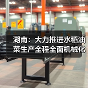 湖南：大力推进水稻油菜生产全程全面机械化，2020年机械化水平达77%、62%（图2）
