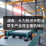 湖南：大力推进水稻油菜生产全程全面机械化，2020年机械化水平达77%、62%（图3）