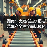 湖南：大力推进水稻油菜生产全程全面机械化，2020年机械化水平达77%、62%（图1）