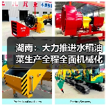 湖南：大力推进水稻油菜生产全程全面机械化，2020年机械化水平达77%、62%（图4）