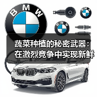 蔬菜种植的秘密武器：在激烈竞争中实现新鲜度差异化（图2）