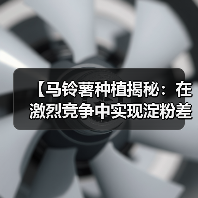 【马铃薯种植揭秘：在激烈竞争中实现淀粉差异化上升】（图2）