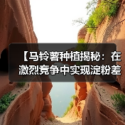 【马铃薯种植揭秘：在激烈竞争中实现淀粉差异化上升】（图3）