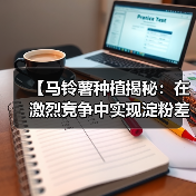 【马铃薯种植揭秘：在激烈竞争中实现淀粉差异化上升】（图4）