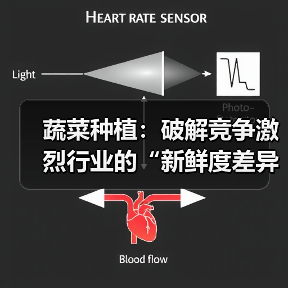 蔬菜种植：破解竞争激烈行业的“新鲜度差异化”秘籍（图2）