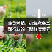 蔬菜种植：破解竞争激烈行业的“新鲜度差异化”秘籍（图1）