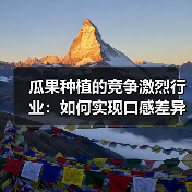 瓜果种植的竞争激烈行业：如何实现口感差异化？（图1）