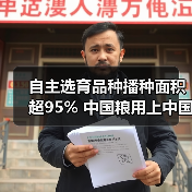 自主选育品种播种面积超95% 中国粮用上中国种（图2）