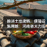 推进土地流转、保障设施用地:河南省大力发展家庭农场(图1) 推进土地流转、保障设施用地:河南省大力发展家庭农场(图1)