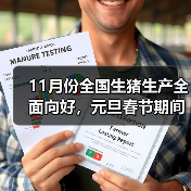 11月份全国生猪生产全面向好，元旦春节期间肉食品供应整体有保障（图4）