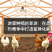 蔬菜种植的革命：在激烈竞争中打造差异化新鲜体验（图4）